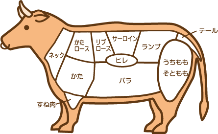 牛の部位には、ネック、かたロース、リブロース、サーロイン、ヒレ、ランプ、かた、バラ、すね肉、うちもも・そともも、テールなどがあります。