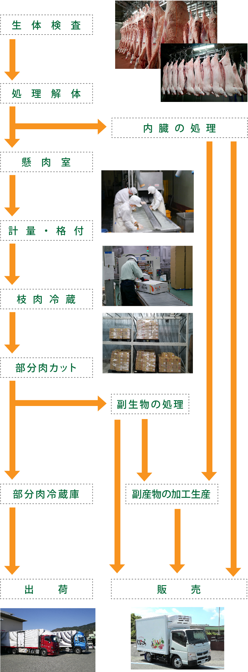 食肉製造フロー