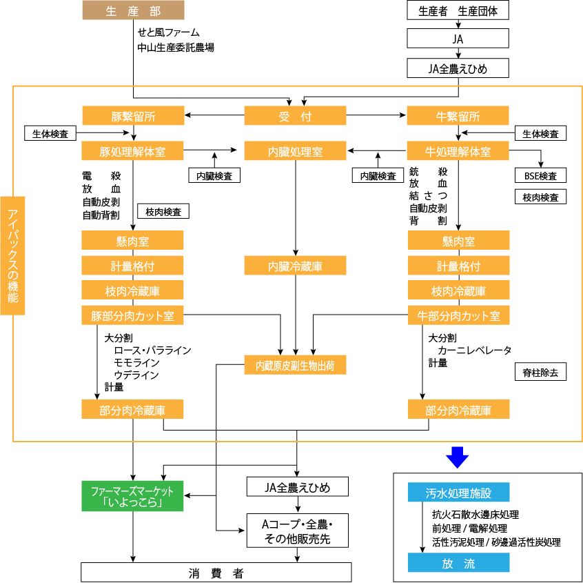 食肉加工・物流フロー